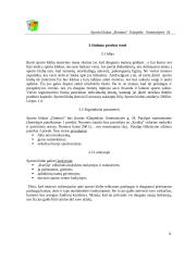 Verslo planas: sporto klubas "Domino" 6 puslapis