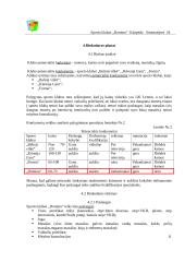 Verslo planas: sporto klubas "Domino" 8 puslapis