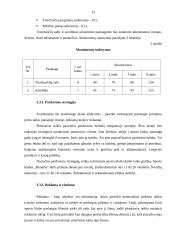 Verslo planas: sporto klubas "Heraklis" 13 puslapis