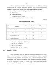 Verslo planas: sporto klubas "Heraklis" 17 puslapis