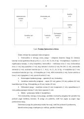 Verslo planas: sporto klubas "Heraklis" 18 puslapis