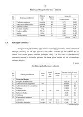 Verslo planas: sporto klubas "Heraklis" 20 puslapis