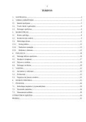 Verslo planas: sporto klubas "Heraklis" 3 puslapis
