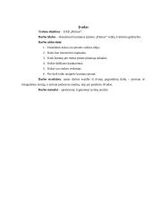 Verslo planas: sporto klubas UAB "Ritmas" 2 puslapis