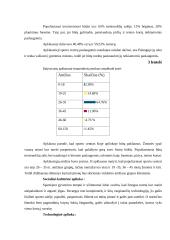 Verslo planas: sporto klubas UAB "Ritmas" 13 puslapis