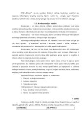 Verslo planas: sporto klubas UAB "Ritmas" 14 puslapis