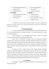 Verslo planas: sporto klubas UAB "Ritmas" 15 puslapis