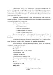 Verslo planas: sporto klubas UAB "Ritmas" 16 puslapis