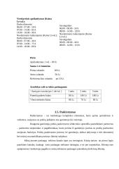 Verslo planas: sporto klubas UAB "Ritmas" 17 puslapis