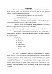 Verslo planas: sporto klubas UAB "Ritmas" 18 puslapis