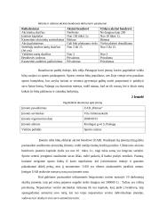 Verslo planas: sporto klubas UAB "Ritmas" 6 puslapis