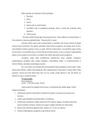 Verslo planas: sporto klubas UAB "Ritmas" 10 puslapis