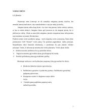 Verslo planas: statyba ir remontas UAB "Kriautė" 2 puslapis