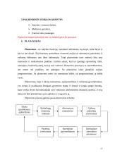 Verslo planas: statyba ir remontas UAB "Kriautė" 13 puslapis