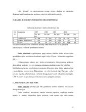 Verslo planas: statyba ir remontas UAB "Kriautė" 19 puslapis