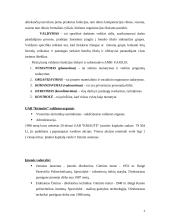 Verslo planas: statyba ir remontas UAB "Kriautė" 4 puslapis