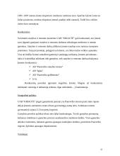Verslo planas: statyba ir remontas UAB "Kriautė" 10 puslapis