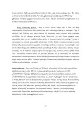 Verslo planas: taksi paslaugos UAB "Martonas" 11 puslapis