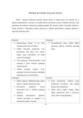 Verslo planas: taksi paslaugos UAB "Martonas" 12 puslapis