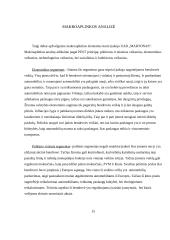 Verslo planas: taksi paslaugos UAB "Martonas" 13 puslapis