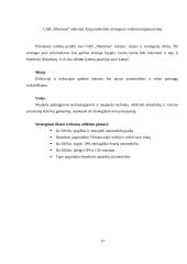 Verslo planas: taksi paslaugos UAB "Martonas" 15 puslapis