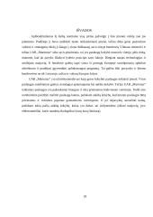 Verslo planas: taksi paslaugos UAB "Martonas" 16 puslapis