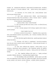 Verslo planas: taksi paslaugos UAB "Martonas" 19 puslapis