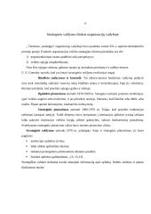 Verslo planas: taksi paslaugos UAB "Martonas" 3 puslapis