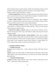 Verslo planas: taksi paslaugos UAB "Martonas" 6 puslapis