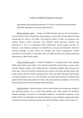 Verslo planas: taksi paslaugos UAB "Martonas" 10 puslapis