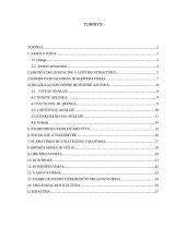 Verslo planas: teritorinis planavimas, projektavimas ir interjero dizainas IĮ "Intervita" 2 puslapis