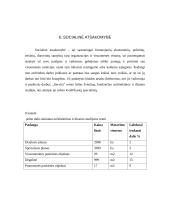 Verslo planas: teritorinis planavimas, projektavimas ir interjero dizainas IĮ "Intervita" 16 puslapis