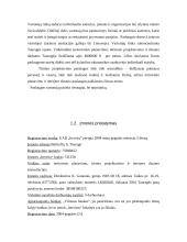 Verslo planas: teritorinis planavimas, projektavimas ir interjero dizainas IĮ "Intervita" 4 puslapis