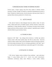 Verslo planas: teritorinis planavimas, projektavimas ir interjero dizainas IĮ "Intervita" 9 puslapis