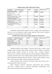 Verslo planas: tinklų priežiūra, diegimas, derinimas UAB "Informacijos srautas" 16 puslapis