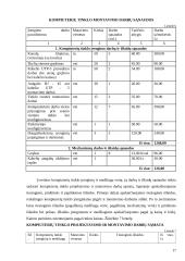 Verslo planas: tinklų priežiūra, diegimas, derinimas UAB "Informacijos srautas" 17 puslapis