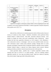 Verslo planas: tinklų priežiūra, diegimas, derinimas UAB "Informacijos srautas" 19 puslapis