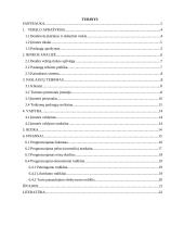 Verslo planas: transporto kompanija UAB "Transvelas"