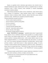 Verslo planas: transporto kompanija UAB "Transvelas" 11 puslapis