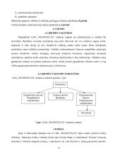 Verslo planas: transporto kompanija UAB "Transvelas" 13 puslapis