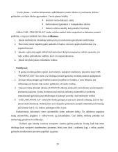 Verslo planas: transporto kompanija UAB "Transvelas" 20 puslapis