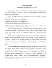 Verslo planas: transporto kompanija UAB "Transvelas" 5 puslapis