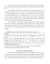 Verslo planas: transporto kompanija UAB "Transvelas" 6 puslapis
