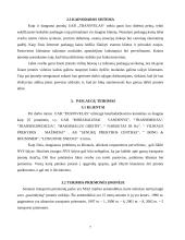 Verslo planas: transporto kompanija UAB "Transvelas" 7 puslapis