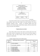 Verslo planas: UAB "Matuizų plytinė" 11 puslapis