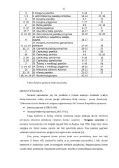 Verslo planas: UAB "Matuizų plytinė" 12 puslapis