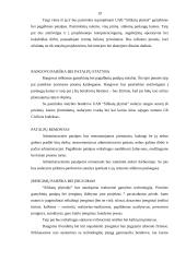 Verslo planas: UAB "Matuizų plytinė" 19 puslapis