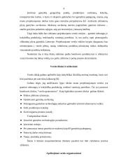 Verslo planas: UAB "Matuizų plytinė" 4 puslapis