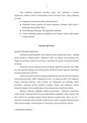 Verslo planas: UAB "Matuizų plytinė" 5 puslapis