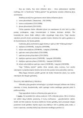 Verslo planas: UAB "Matuizų plytinė" 6 puslapis